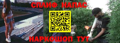 Альфа ПВП Рязань
