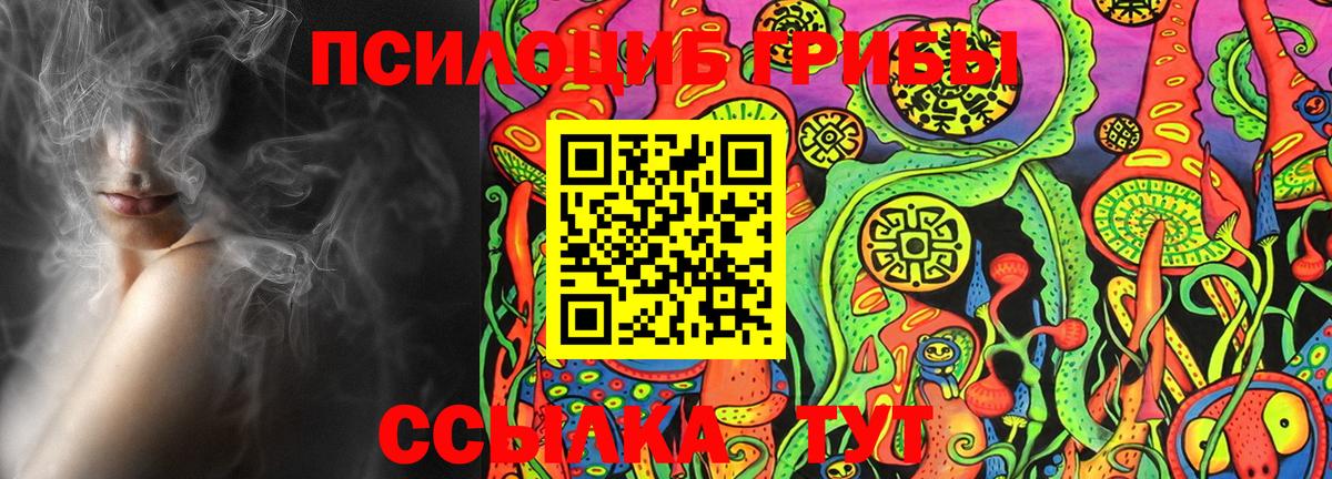Псилоцибиновые грибы Psilocybe Сертолово
