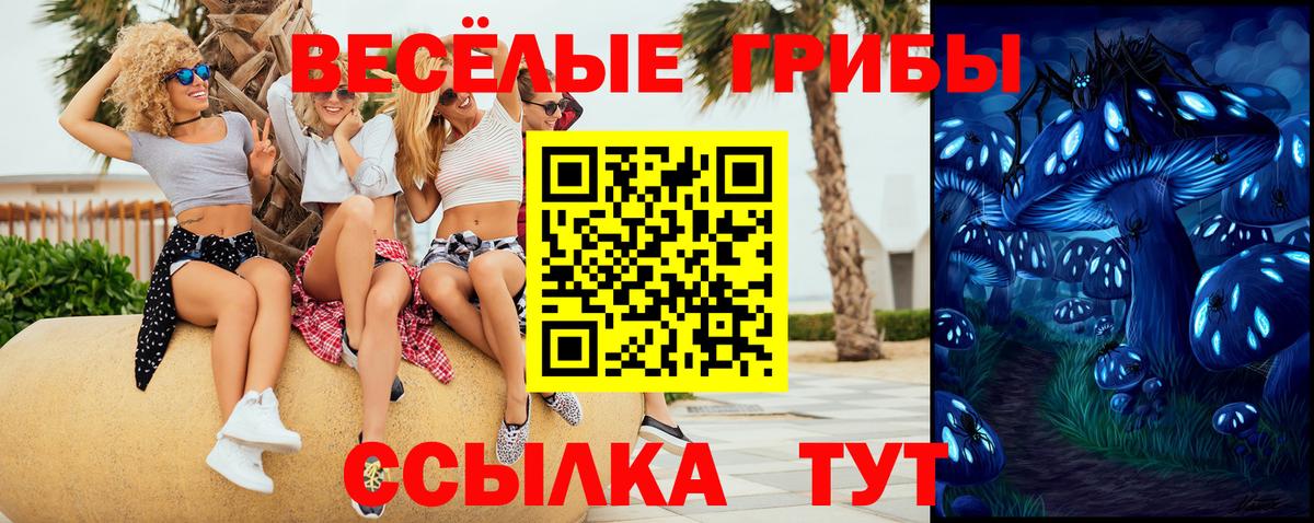 Галлюциногенные грибы прущие грибы Сертолово