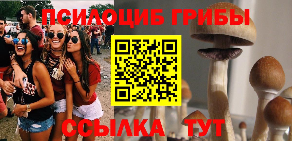Галлюциногенные грибы Psilocybine cubensis  Псилоцибиновые грибы Psilocybe  Сертолово 