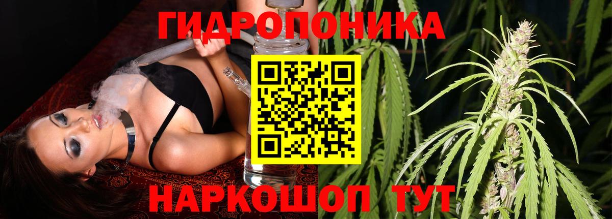 Марихуана гибрид  Марихуана индика  Сертолово  Марихуана марихуана  Вход с VPN 